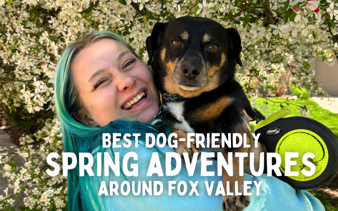 Dog enjoying a spring walk on a scenic trail near St. Charles