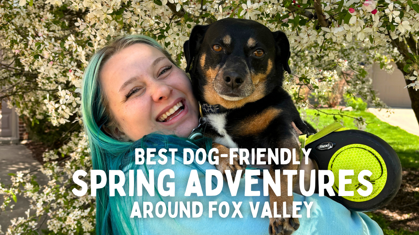 Dog enjoying a spring walk on a scenic trail near St. Charles