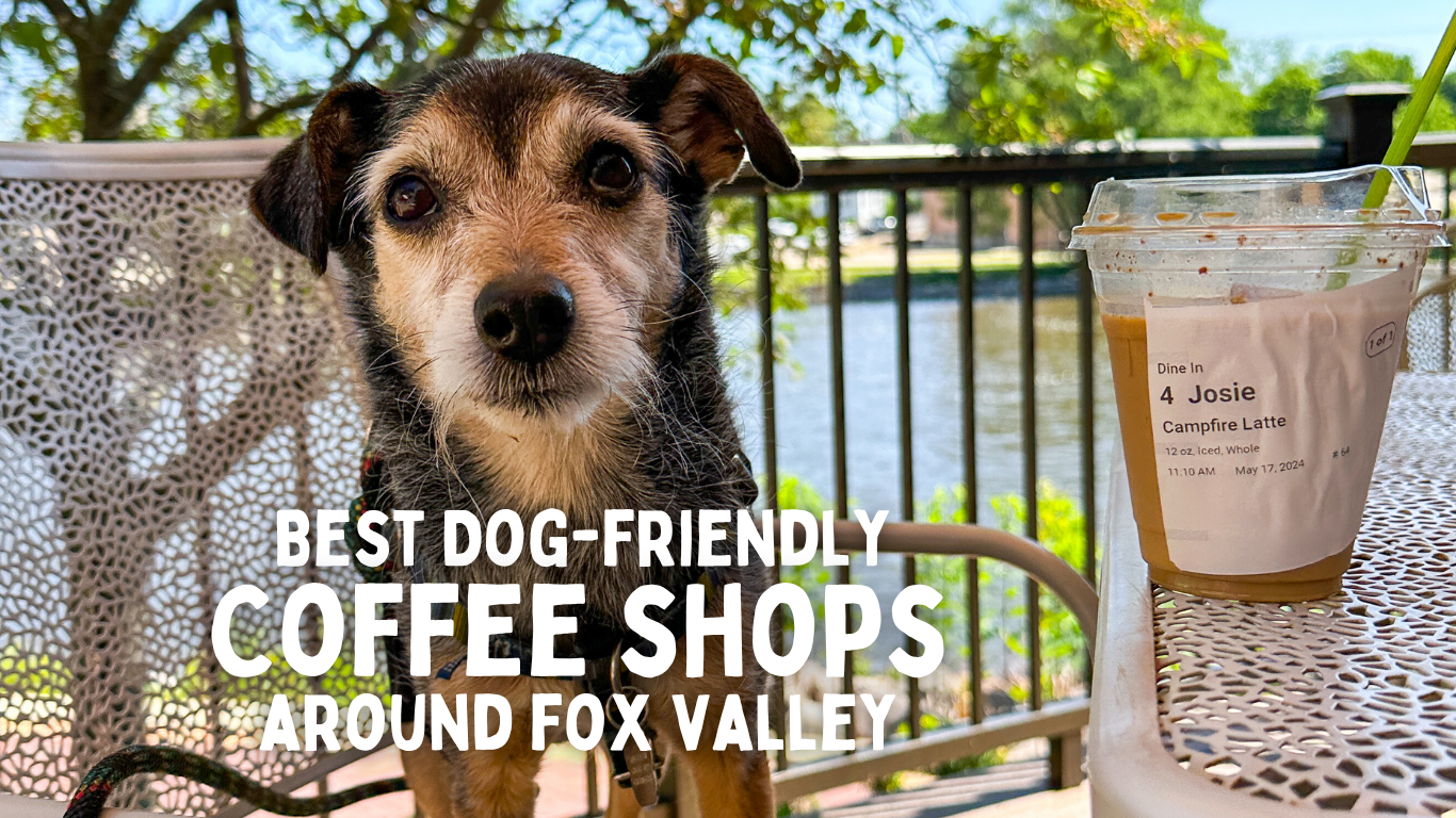 Simply Pets Blog (1) Dog-friendly coffee shops in Fox Valley, IL