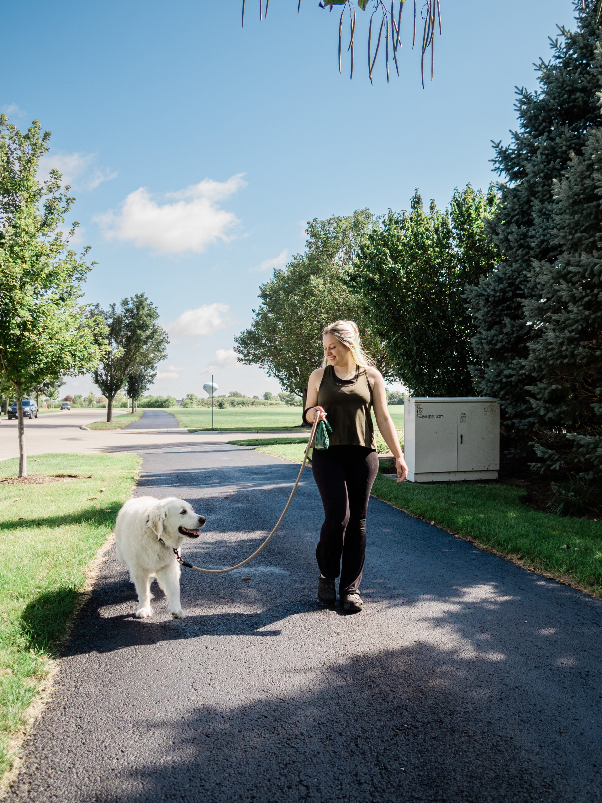 Fox Valley Dog Walking with dog